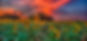 R (3)_edited.jpg