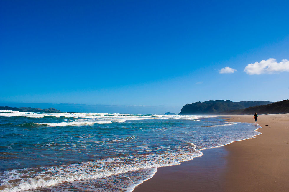 Coromandel I