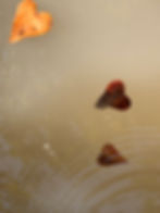 Water and Hearts