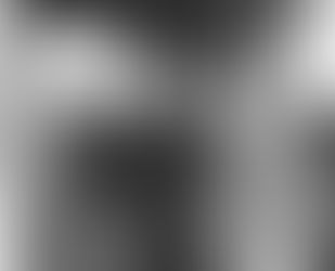 Standing Against the Storm: The Extraordinary Courage of Nanking's Safety Zone Leaders