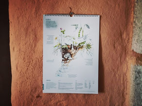 Disponível o Almanaque Agroflorestal da Plantei.eu