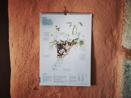 Disponível o Almanaque Agroflorestal da Plantei.eu