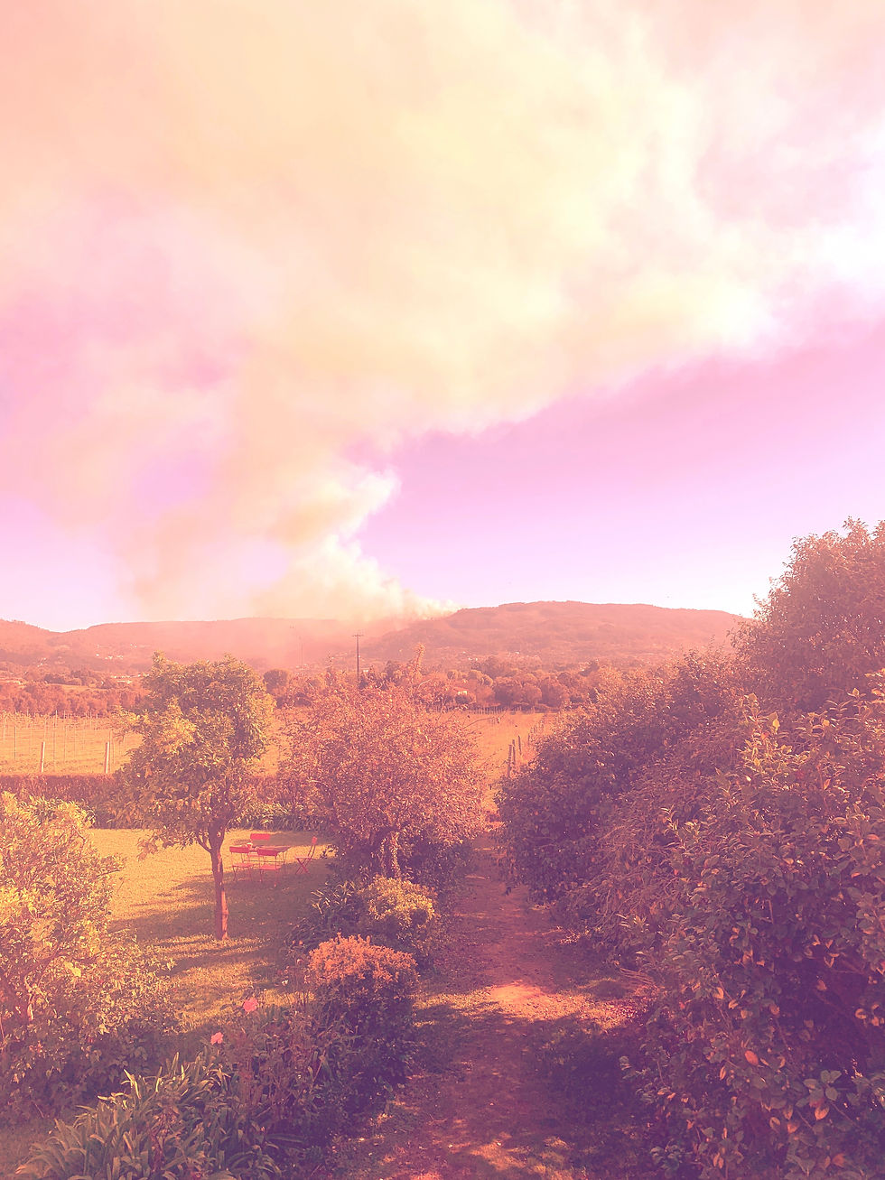 Já não se lê Poesia