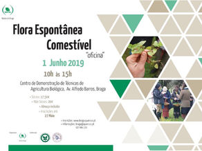 Oficina de Flora Espontânea Comestível