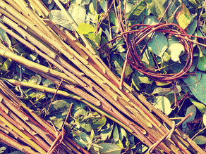 Passando de um ano para o outro com o Salgueiro - 2019 para 2020