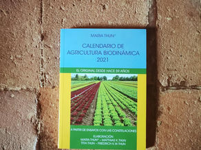Calendário Biodinâmico disponível na Cozinha Velha