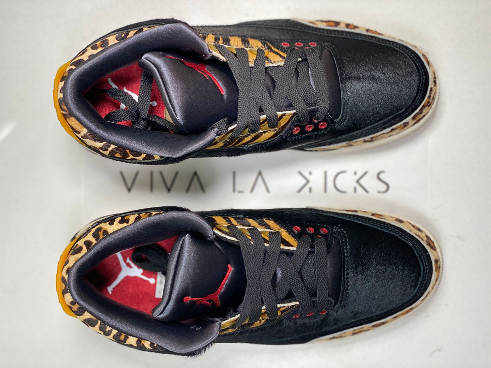 Thumbnail: Air Jordan 3 SE Animal Instinct