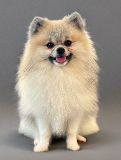 WhatsApp Image 2025-03-24 at 22.49_edited.jpg