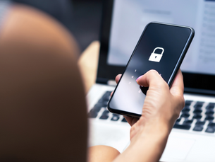 The Shifting Landscape of Fraud and Identity Theft in 2024 