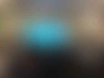 Snapshot Meeting, a Townhall Concept   