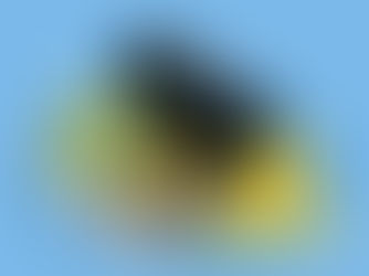 What is Proliferation Financing and Why Should the Cross-Border Payment Industry Care?