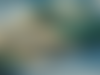 Market Awaits Fed Guidance as Dollar Steadies 