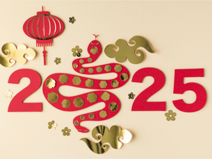 Celebrating Chinese New Year with Joy and Tradition 🎉🧧 