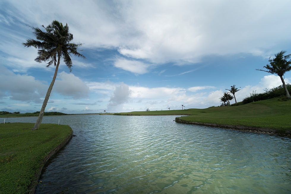 GOLF MANAGEMENT OFFICE