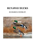 Runaway Ducks 2- Second Edition - LG_Page_01_preview(2).jpeg