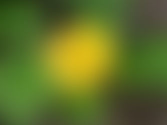 サムエル記第二 23:5