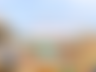 淡路シェフガーデン&レディバードロード マルシェイベント～海辺のわんわんマルシェ～🐶