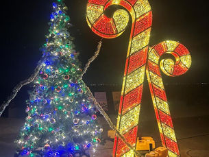 🎄『Ladybird Road Happy Christmas』🎄
