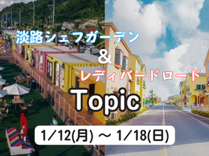 ✨今週の淡路シェフガーデン&レディバードロードTopic✨1/12~1/18