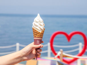 【Piccola】暑い夏におすすめ!濃厚ソフトクリーム