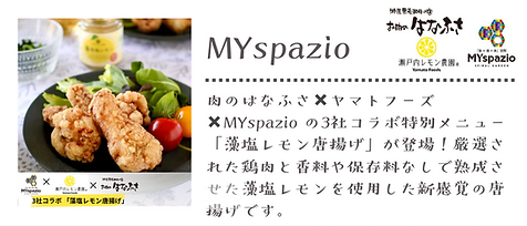 マイスパ３.png