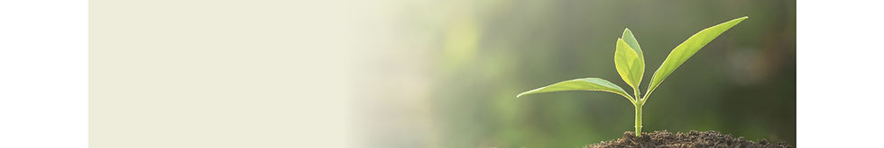 상단 이미지_250804_지속가능경영.jpg