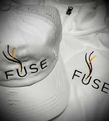 fuse.jpg