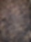 Coffee Beans 2.16.25 for background.jpg
