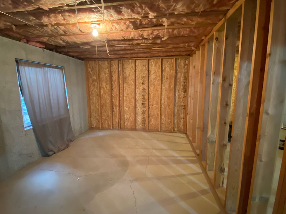 unfinished basement
