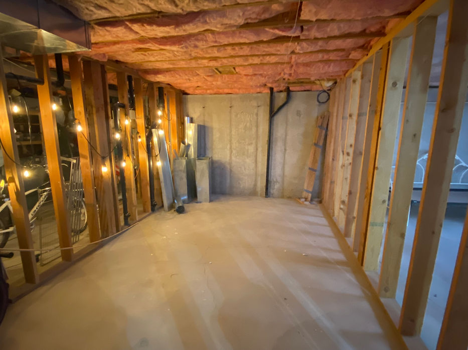 unfinished basement bathroom