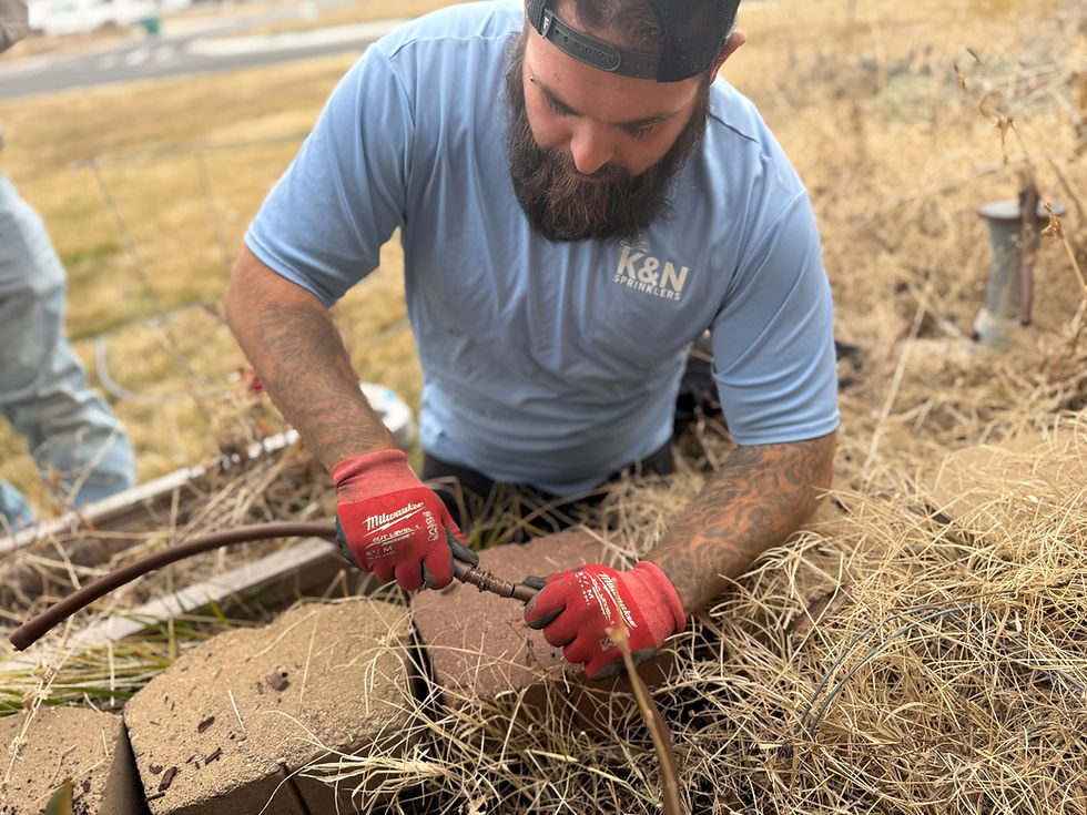 K&N Sprinklers Photo