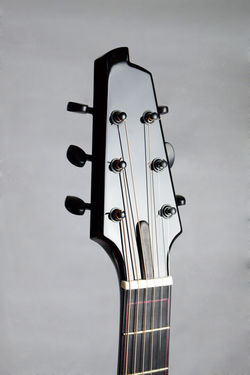 African Blackwood/Bavarian Spruce