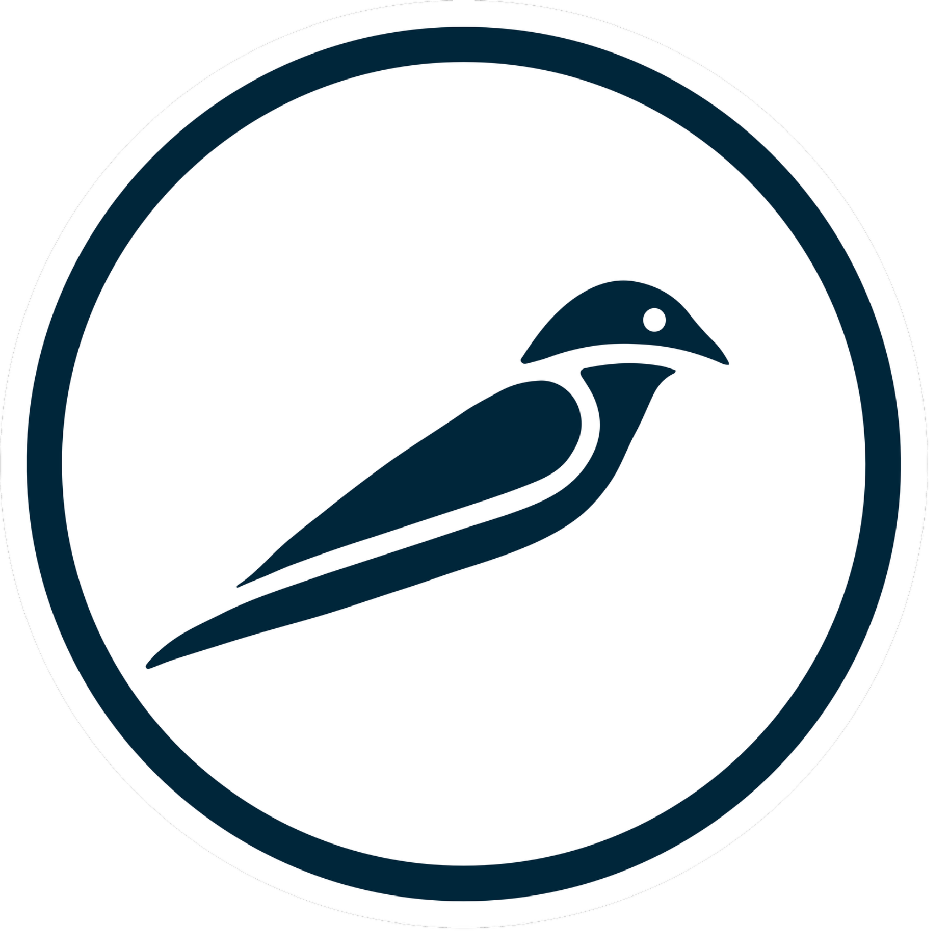 Chasing Birdies | Premium Modern Golf Apparel