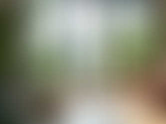 Sustainable Design: Eco-Friendly Solutions for Your Home