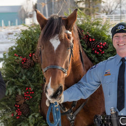 171209 Mpls Mounted Police Christmas Pho