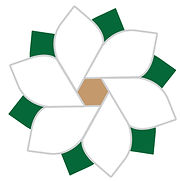 MR logo icon (1).jpg