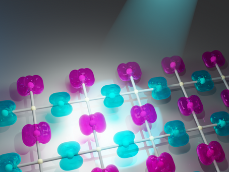 When Spins Take the Stage: Libor Šmejkal's Triumph at the Falling Walls Award