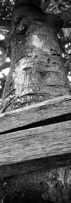 WhatsApp Video 2022-05-21 at 18.09.53 (1).jpg