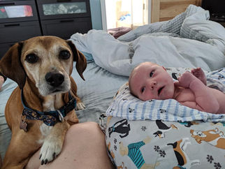 Forrest John's birth story as told by mom and dad, Ainsley & Dan. Welcome, little one! Born 6/20/19