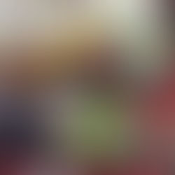 פוסט 17- שישה ימים במקום אחד,         והאטת הקצב