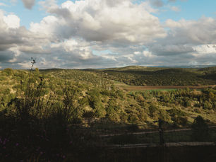 איך הפסקתי להיות הצוק האיתן שהייתי עד היום