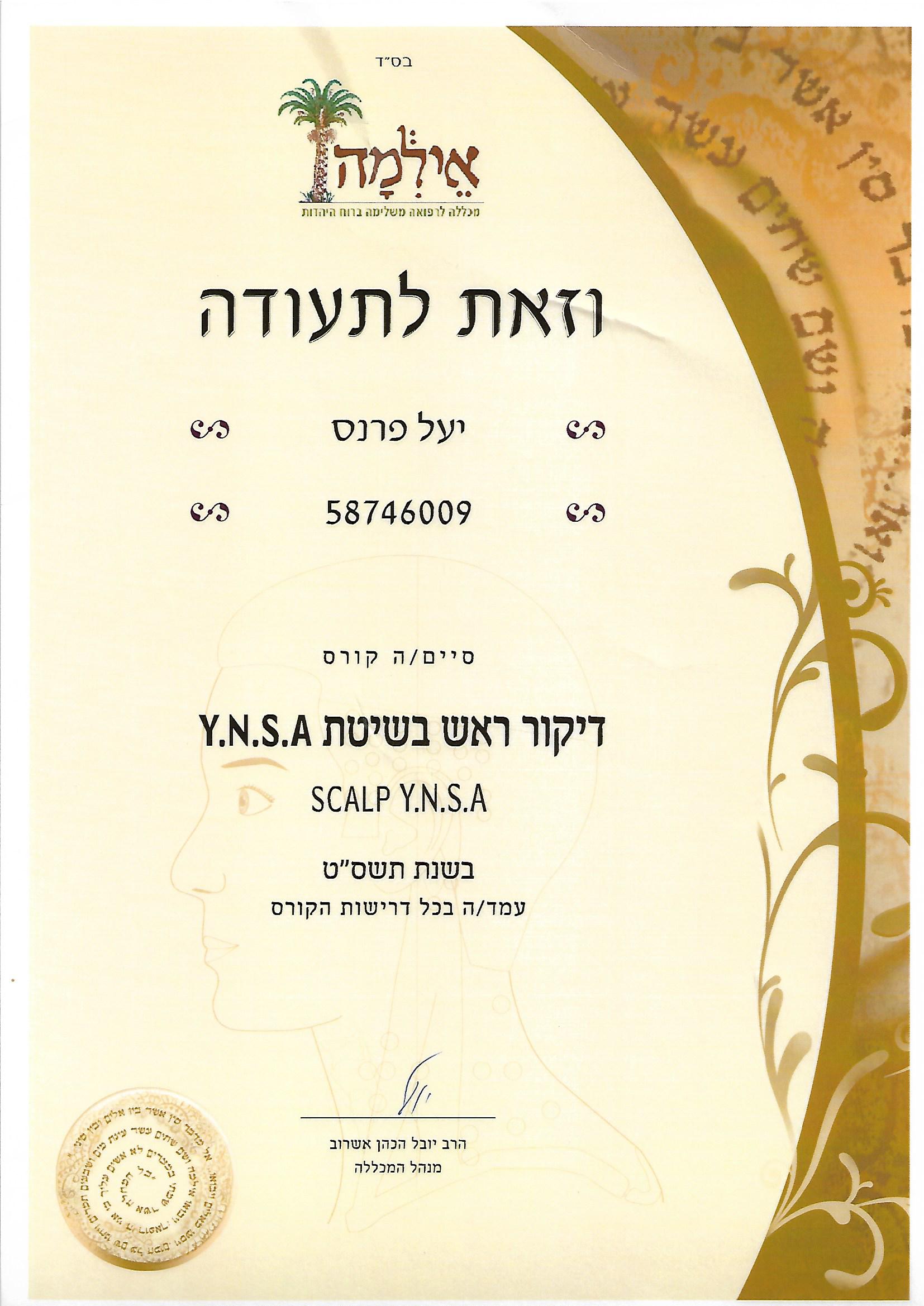Y.N.S.A דיקור ראש בשיטת