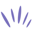Certification (13).png