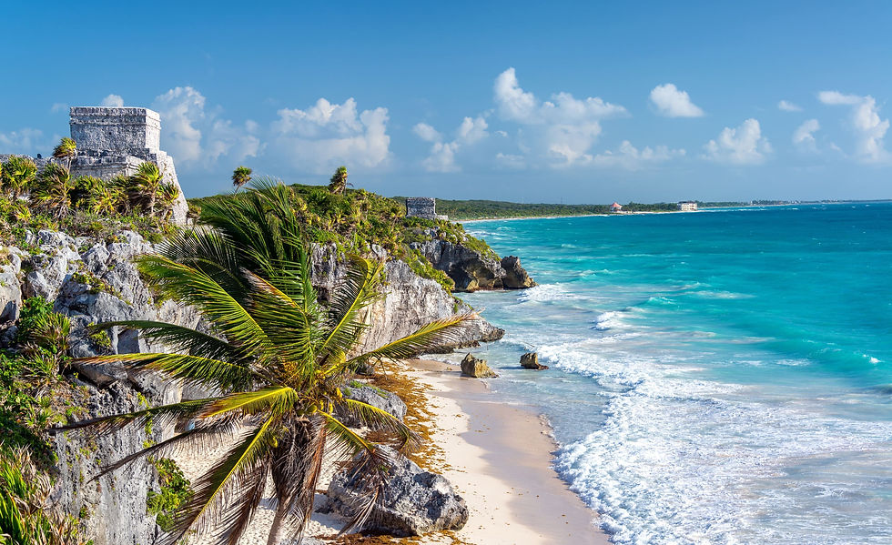 Thumbnail: Mexico Dream : $1,895