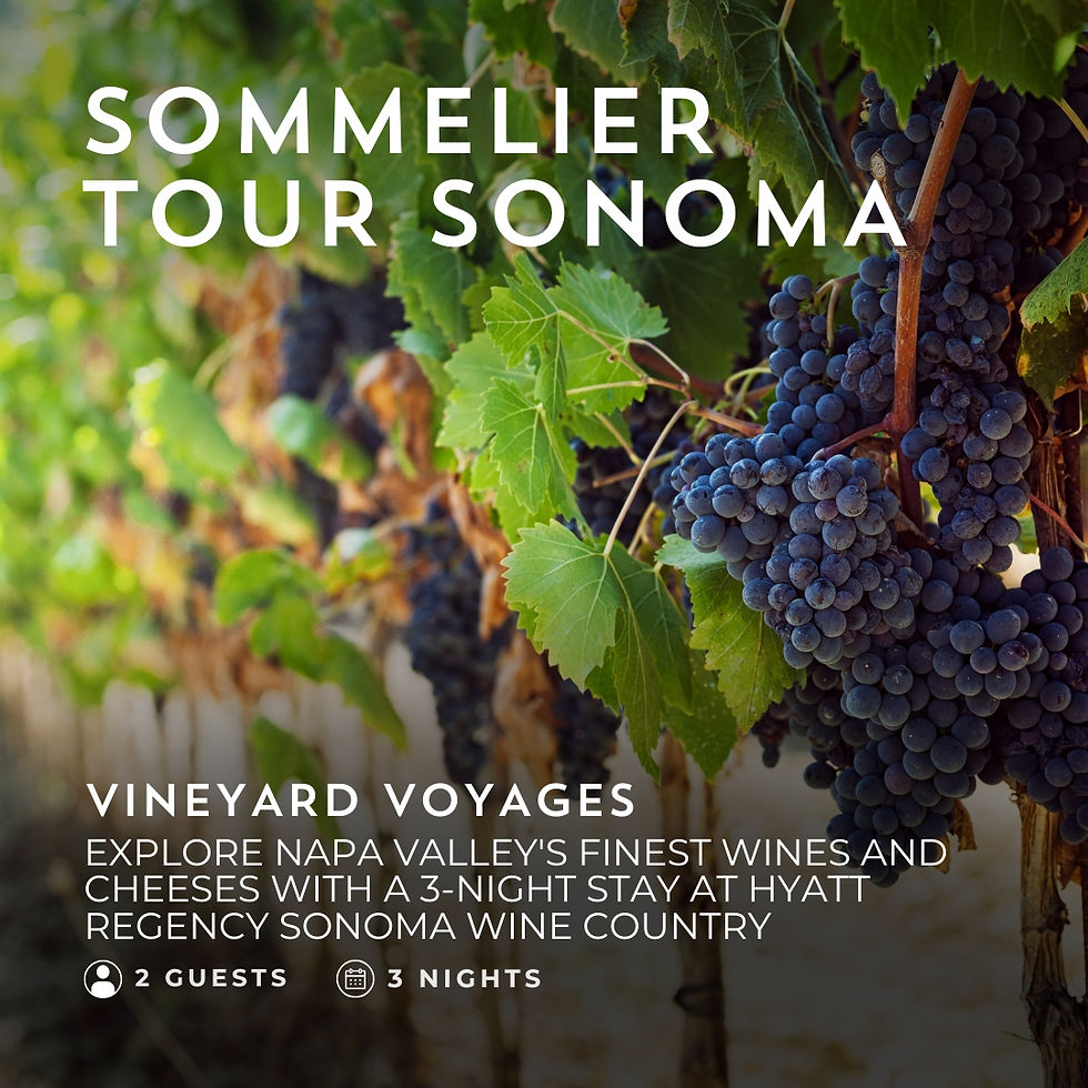 Sommelier Wine Tour Sonoma: $3,495
