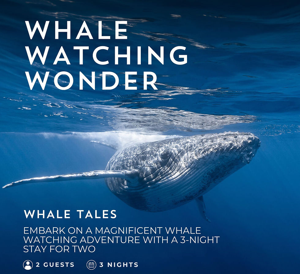 Whale Watching Wonder: $2,950