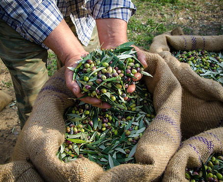 self guided galatina bike tour