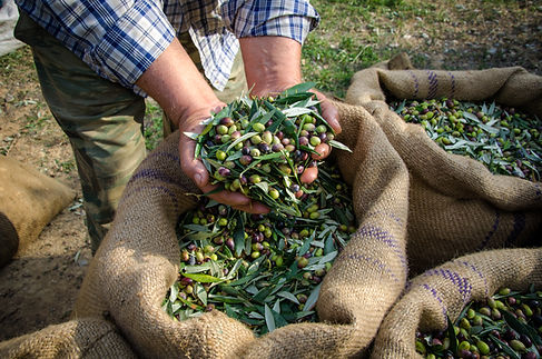 Man Holding Olives