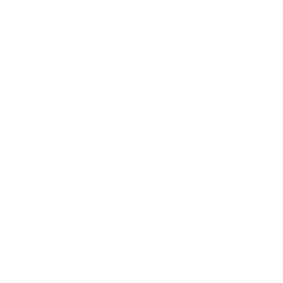 d8ae937c-fc02-42c9-a334-adf28e512d7b.png