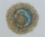 Nest Necklace